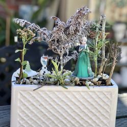 $18 Frozen Inspired fairy garden