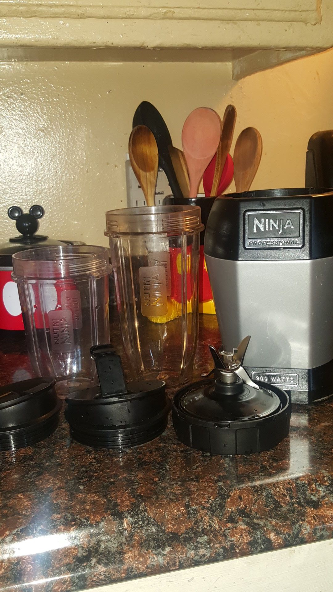Nutri ninja professional smoothe blender!!!