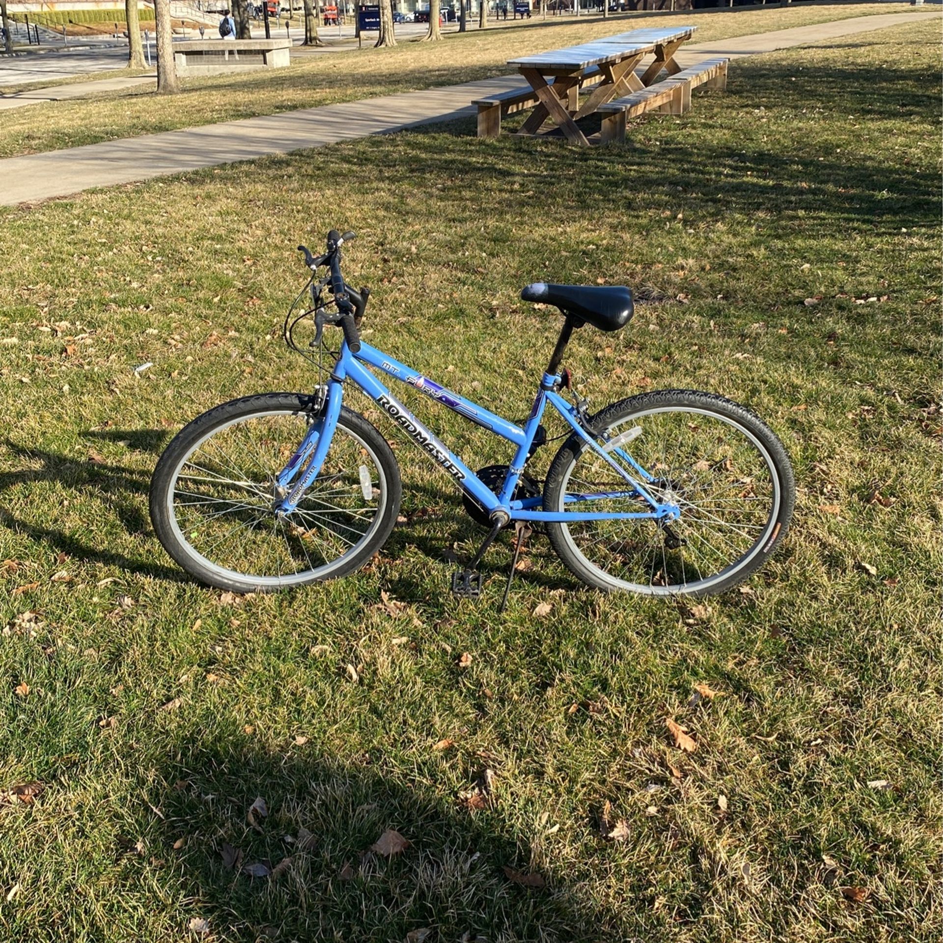 Roadmaster Mountain Bike