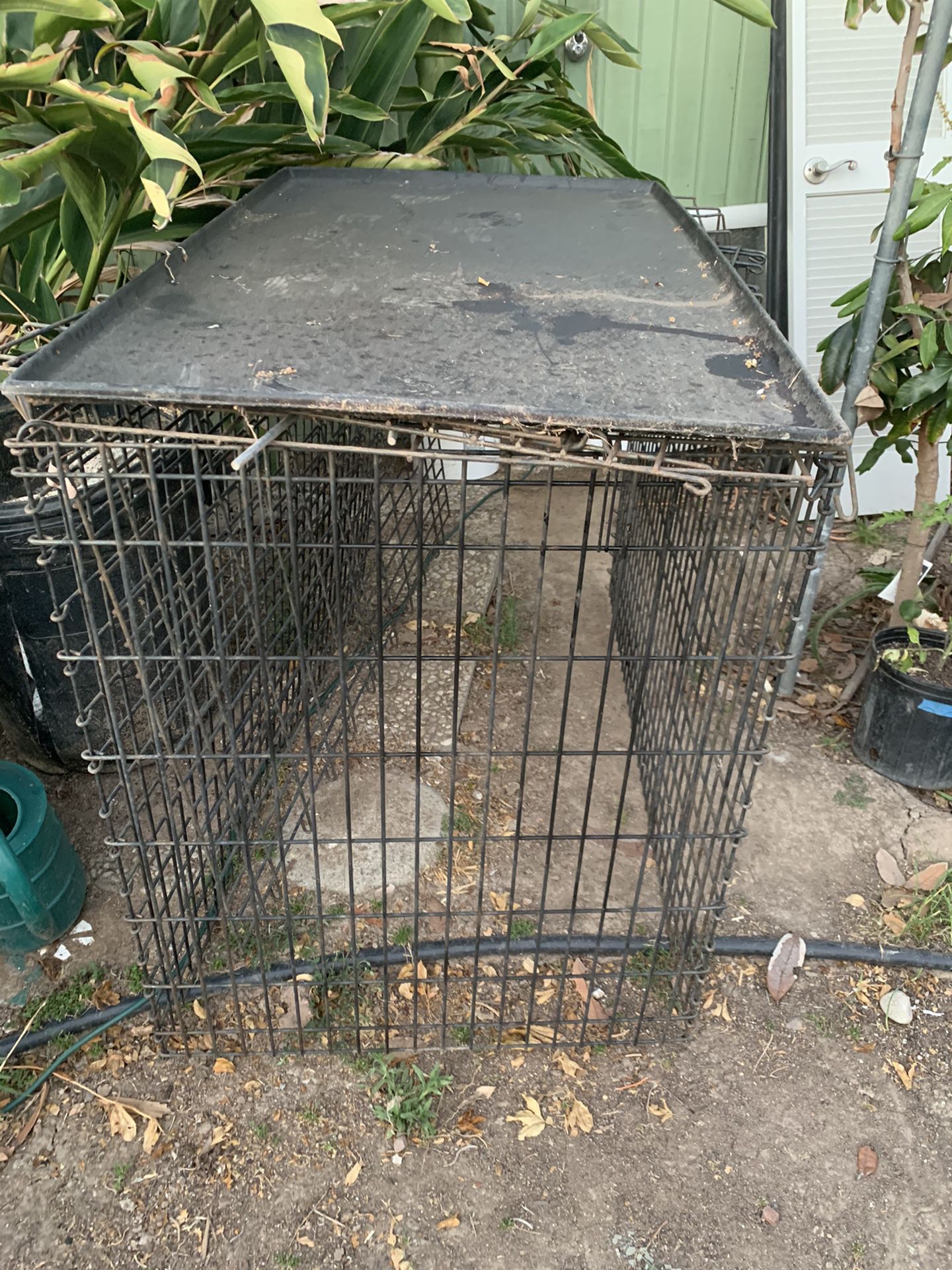 Large dog kennel 28”W x 49 L, 36 H