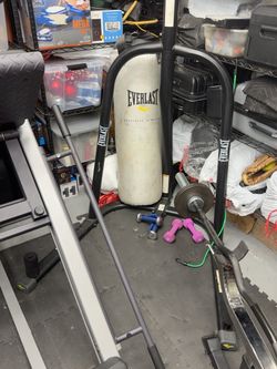 Everlast Heavy Bag Stand with Punching Bag