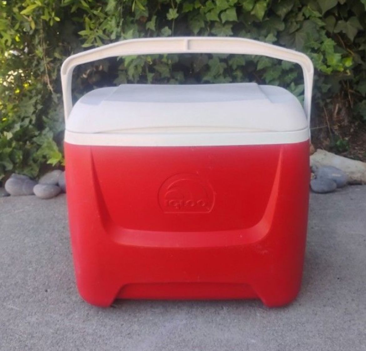 Ice Chest Cooler Great Condition  Holds Approx. 53 Cans
