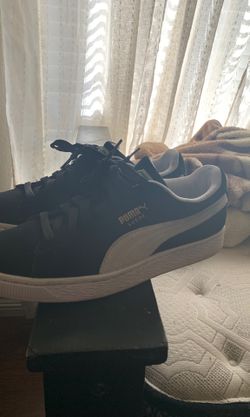 Pumas