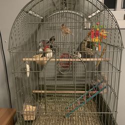 Free Bird Cage