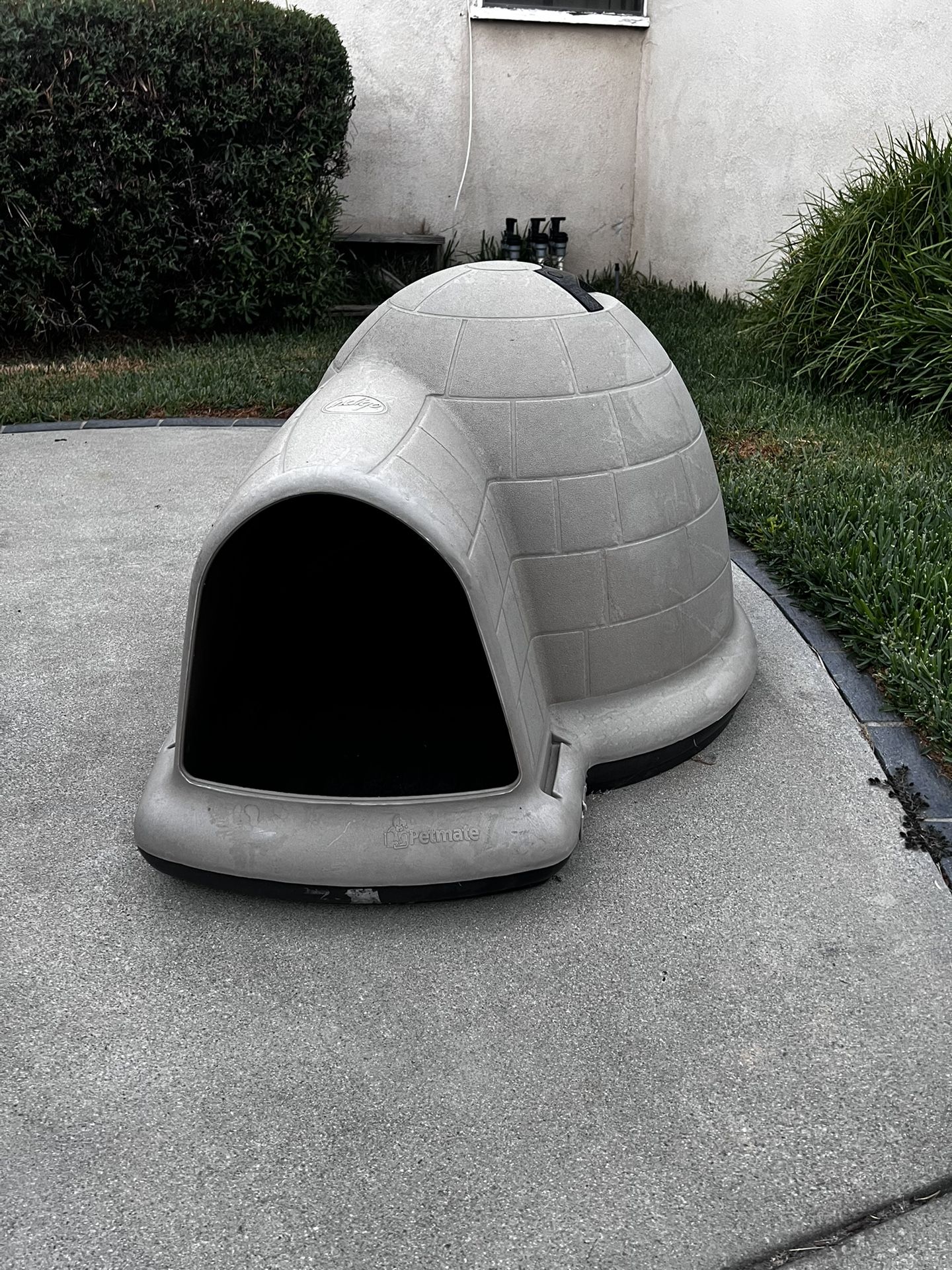 Dog House Igloo