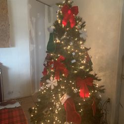 Big Tree For Your Home