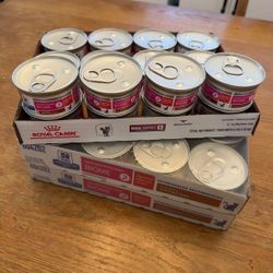 Hill’s Biome Cat Food – 42 Cans