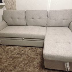 Sleeper Couch With Storage Chaise 