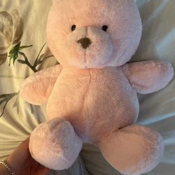 Pink Teddy Bear 