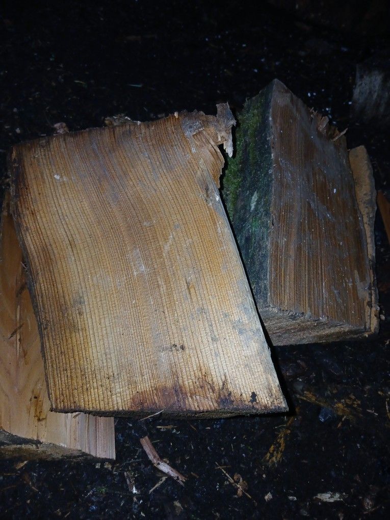 Cedar Wood Bone Dry