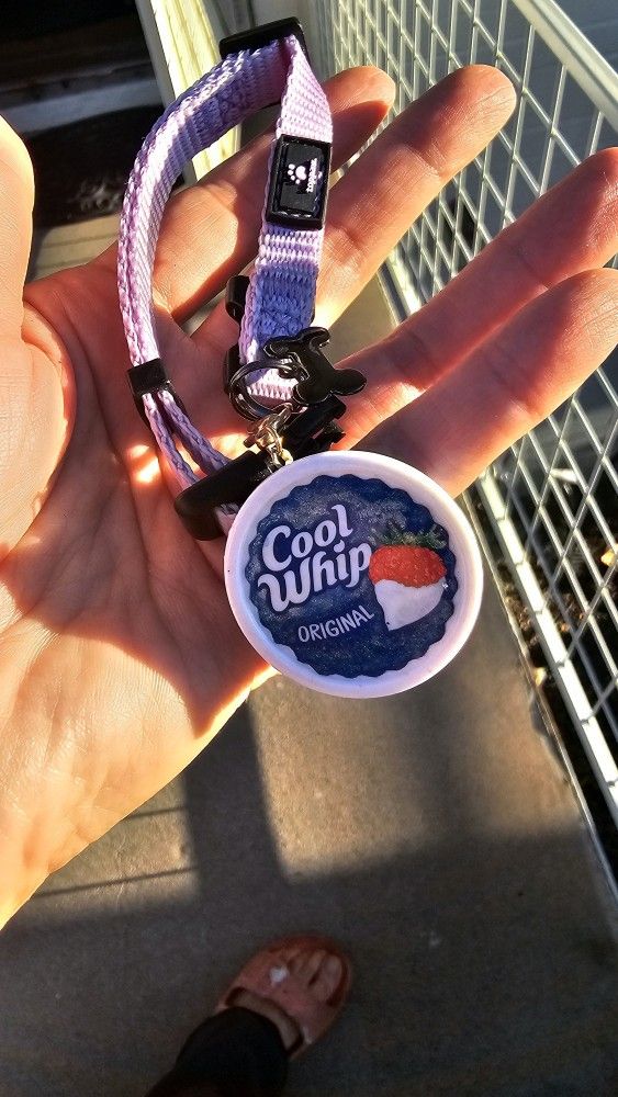 Cool Whip Container🐶Collar