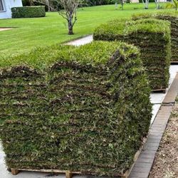 Fresh Cut Sod