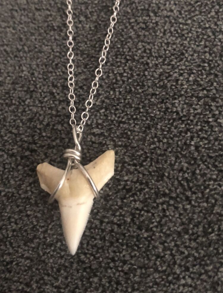 New Sterling Silver Shark Tooth Necklace