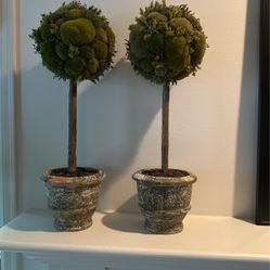 Potted Green Topiaries- Pair