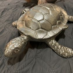 Silver Turtle Decor 