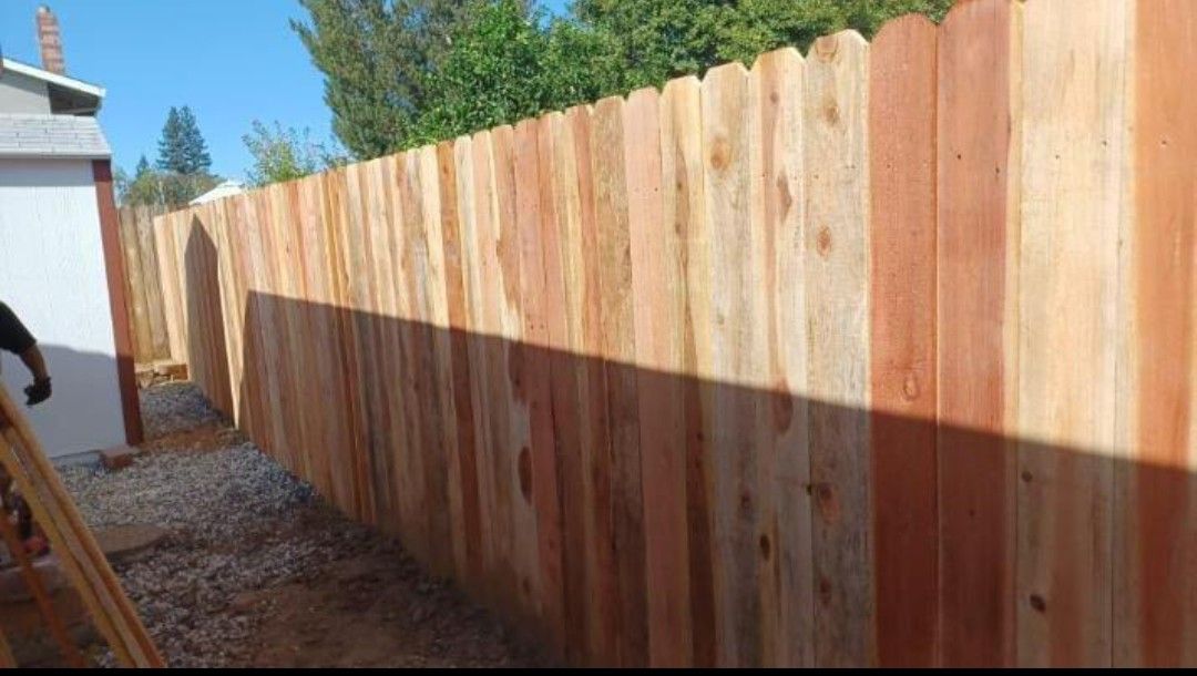 Fence