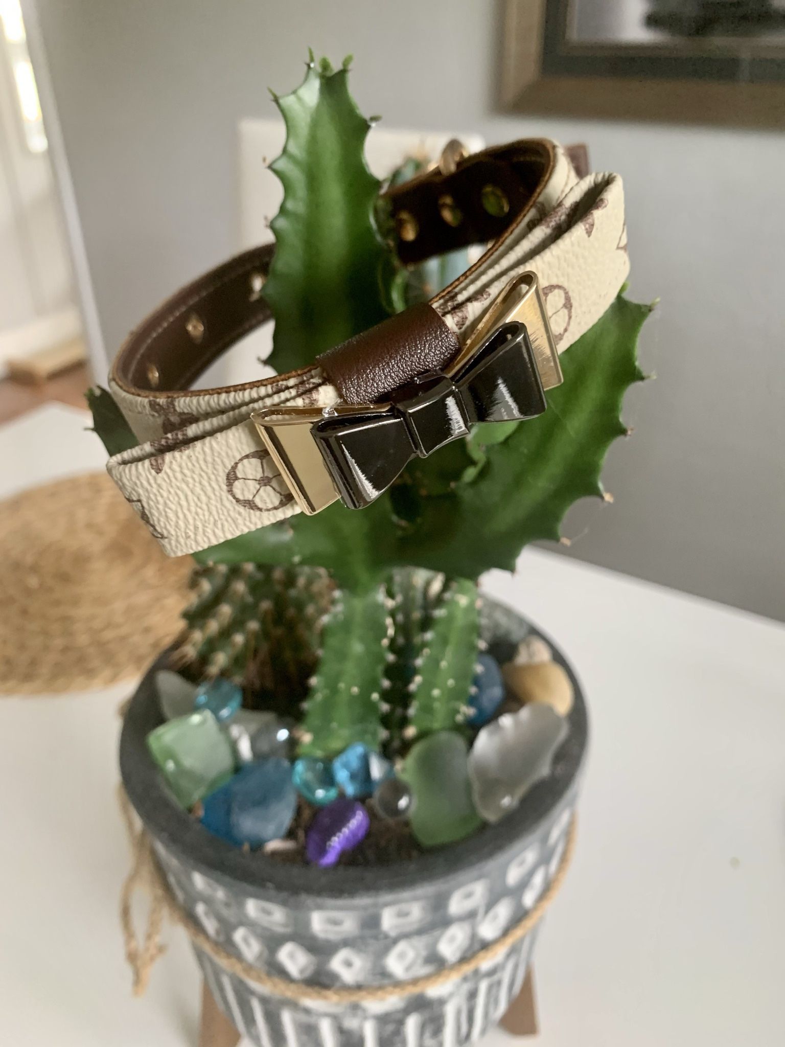 Luxury Dog Collar With A Matching Leash 