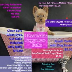 Sweatheart Doggy Love Baths $5.00 and Up 