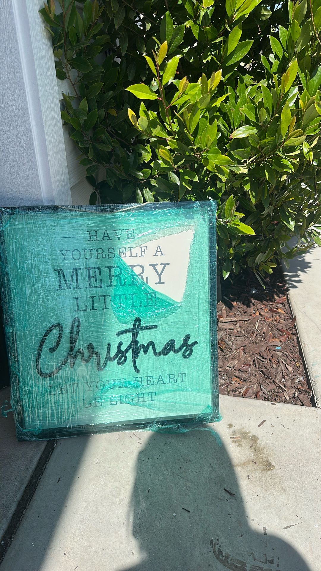 Christmas Frame From Michaels