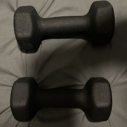 8lb Dumbbell Set