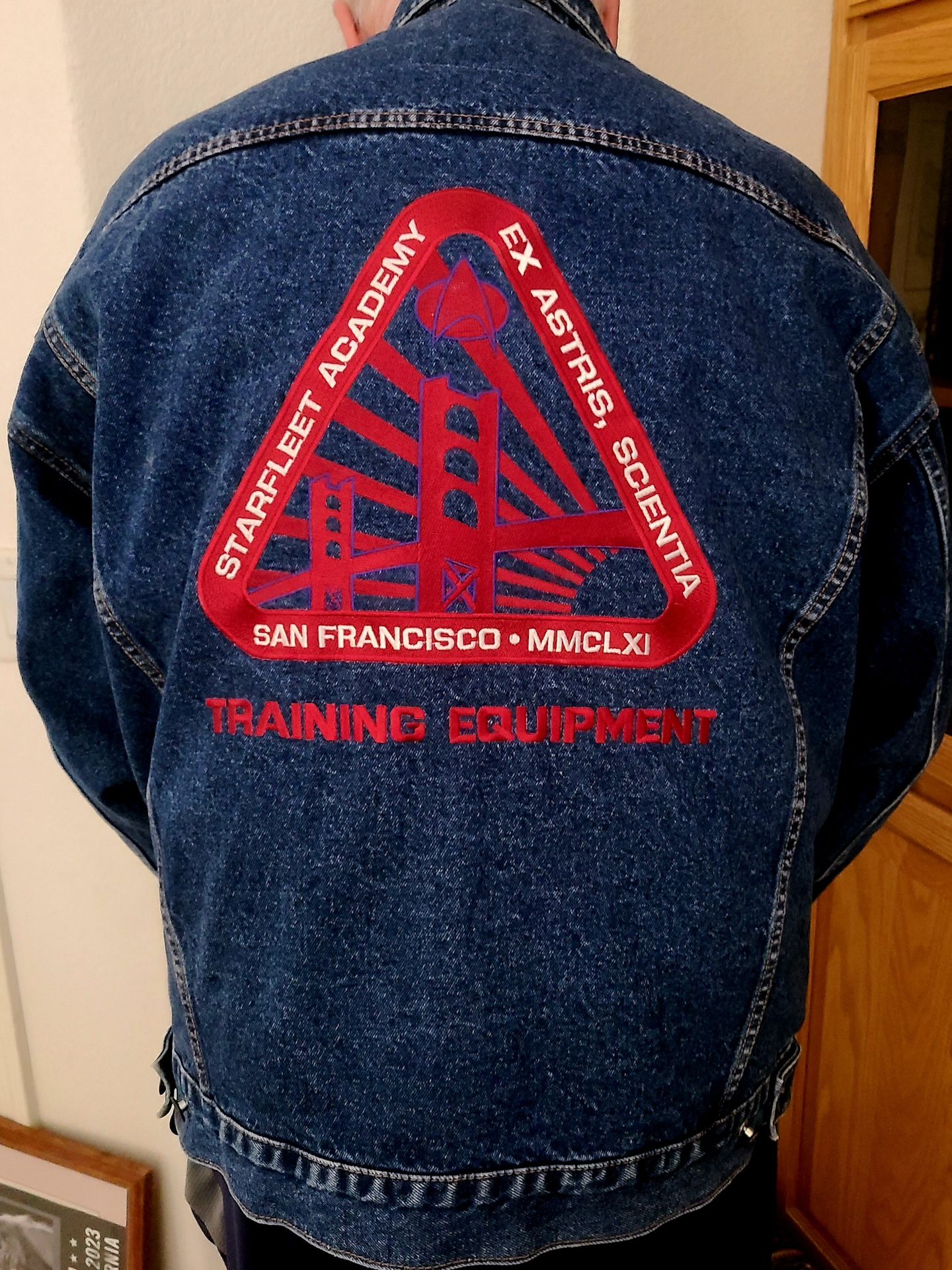 Vintage Star Trex Jean Jacket