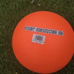 Herding Ball For Dogs