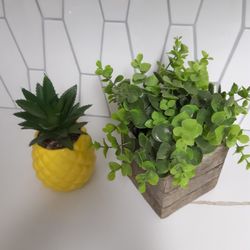 ARTIFICIAL Plants Both For $10 Or $6 Each