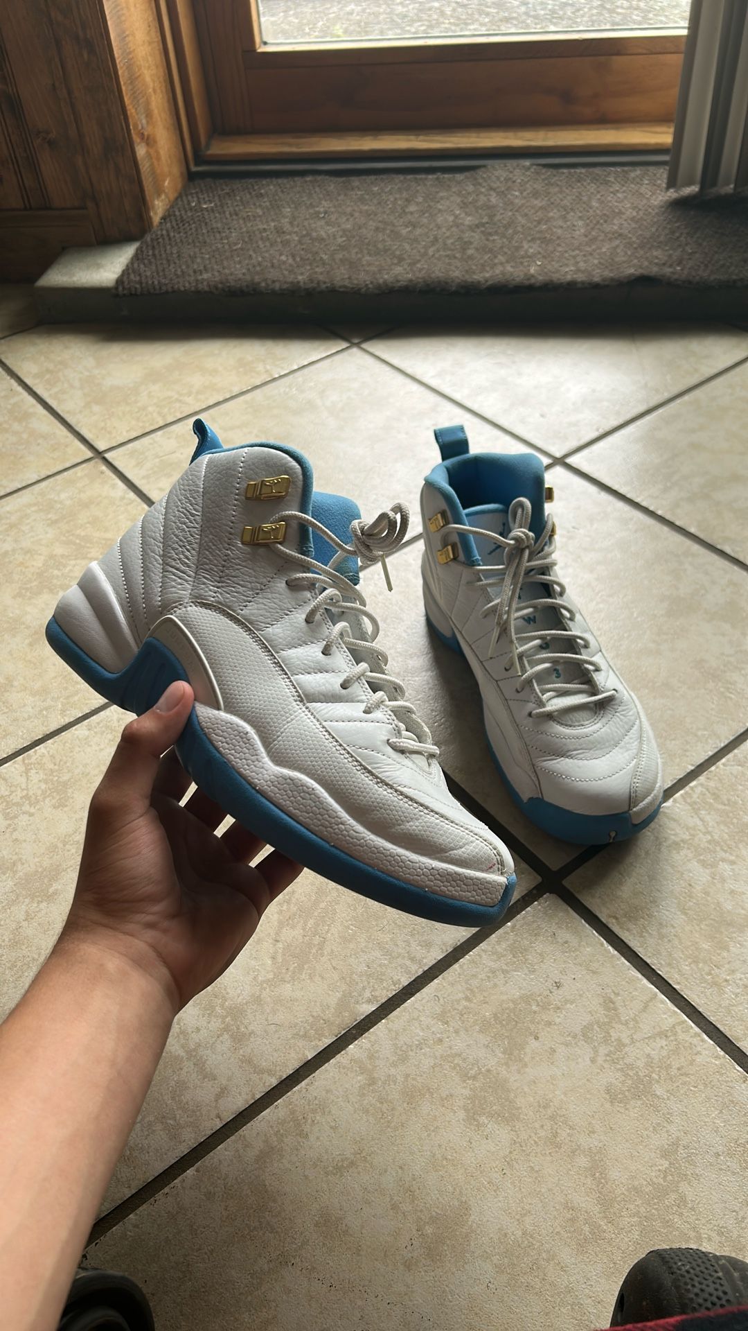 7.5Y Jordan 12 Melo (USED NO BOX)