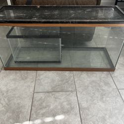 20g and 5g Aquarium Tank 