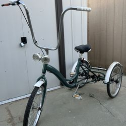 20 in 3 Wheeler