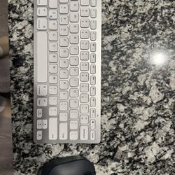 Bluetooth Key Board / Mouse 