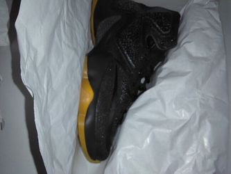 Nike Lebron 13 and Puma q3