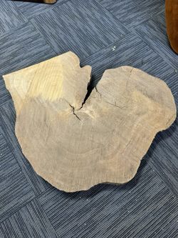 Large Wood Slab Cookie