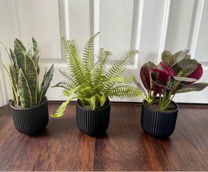 set of artificial plants