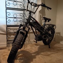 FU-CARE E-Bike