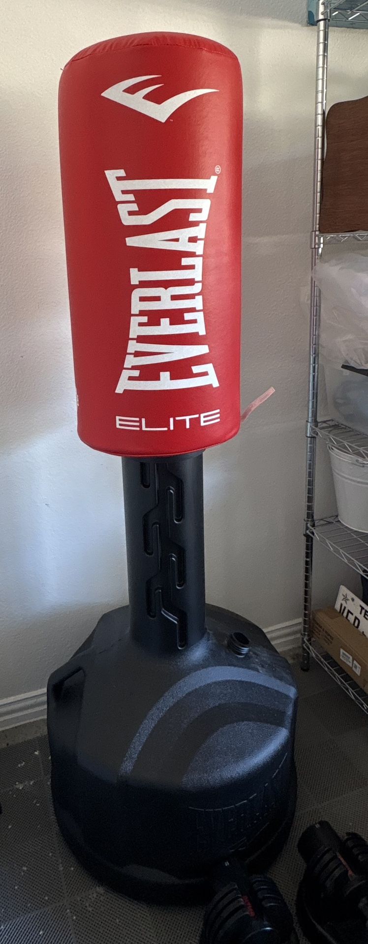 Punching Bag - EVERLAST