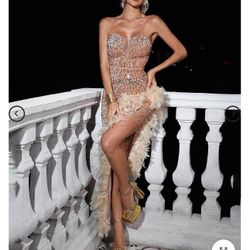 Sequin Feather Dress