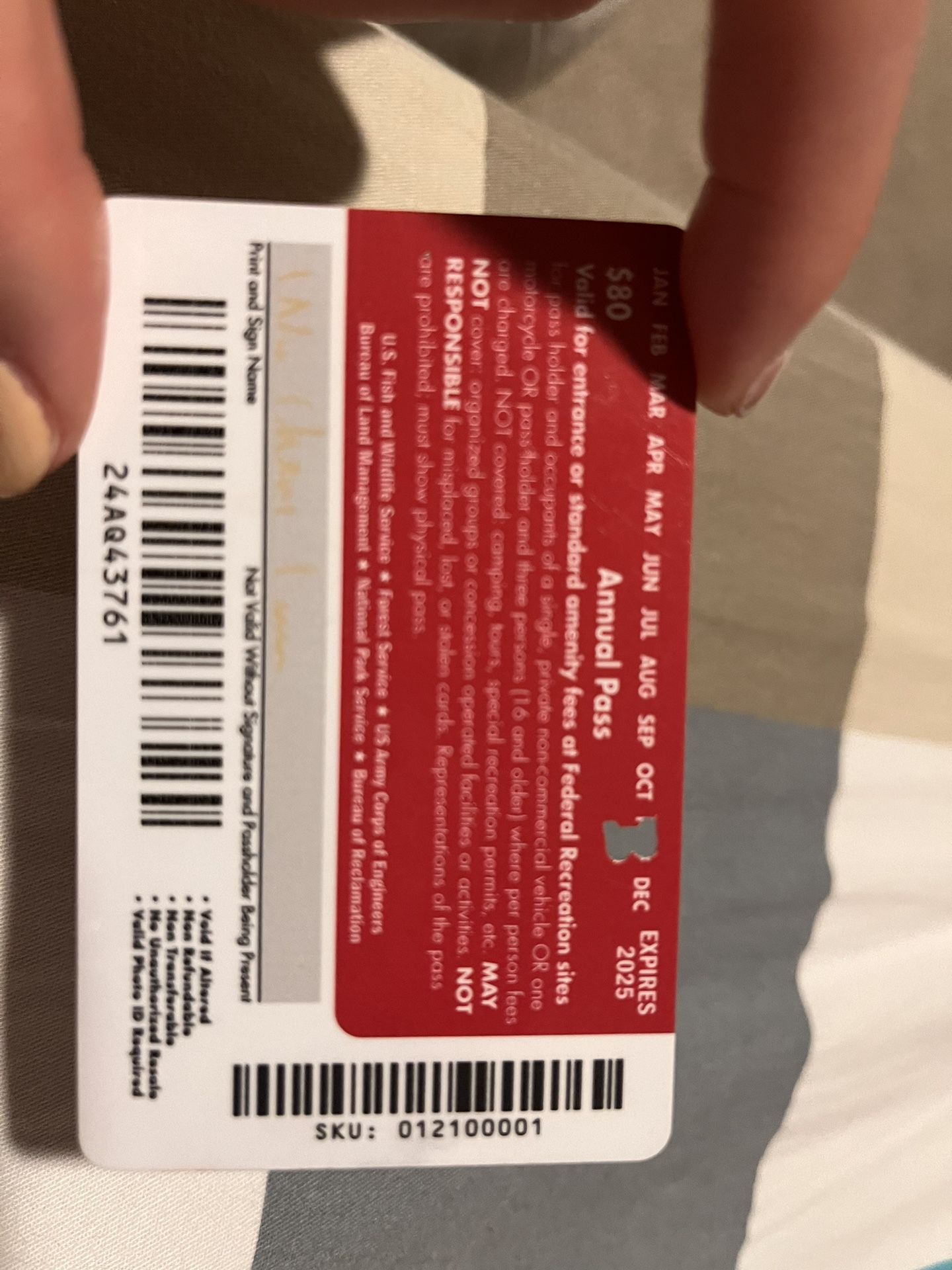 American Beauty Annual Pass