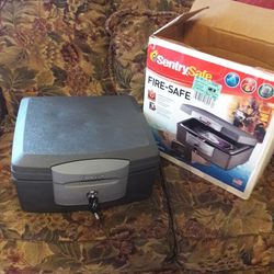 New SENTRY  Fire  safe.    $65
