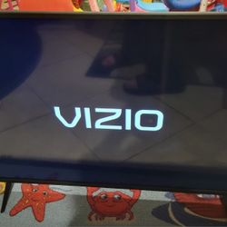 Vizio D Series 40" LED Smart TV