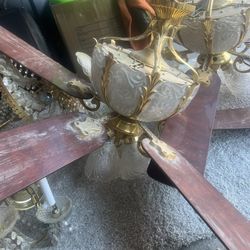 Ceiling Fans And Chandelier’s
