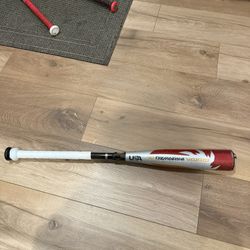 Baseball Bat