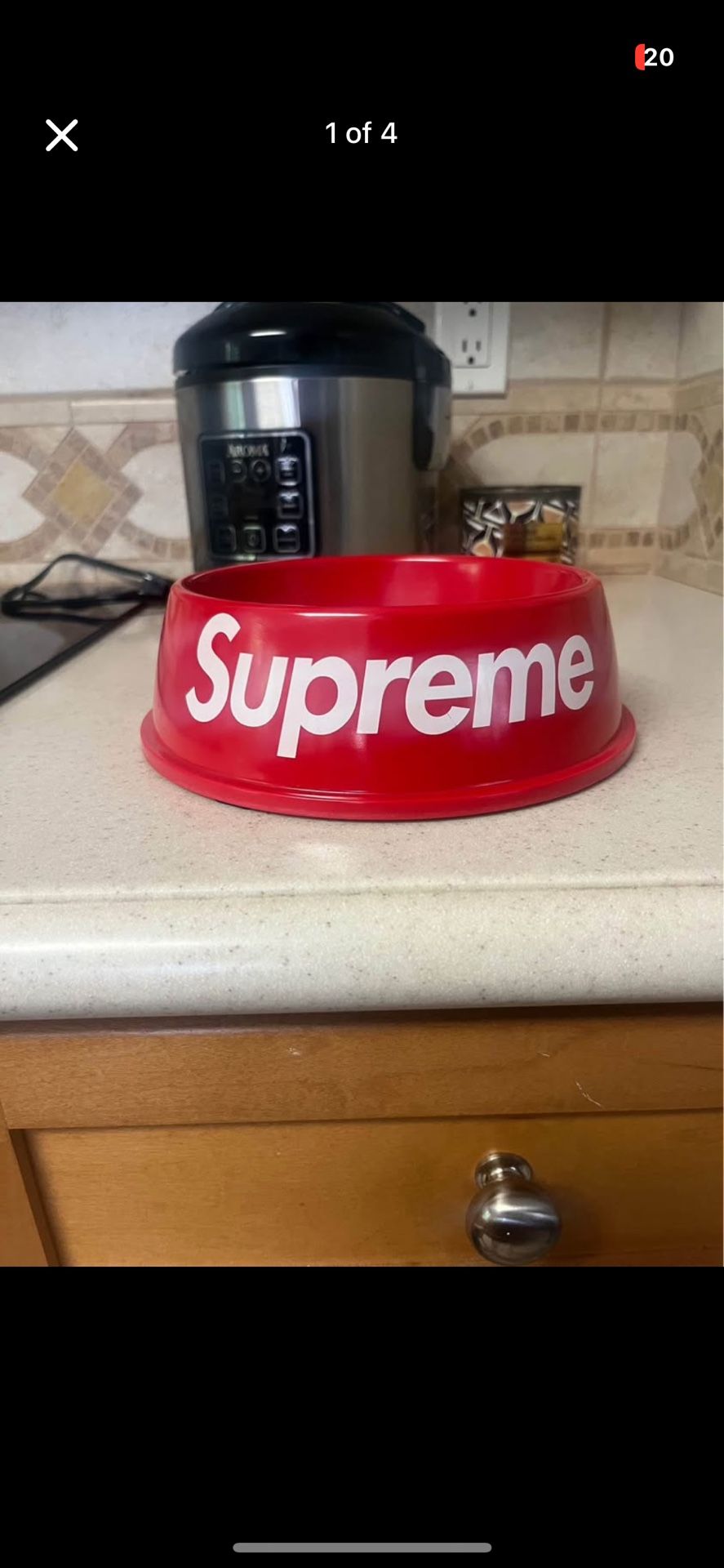 Supreme Dog Bowl