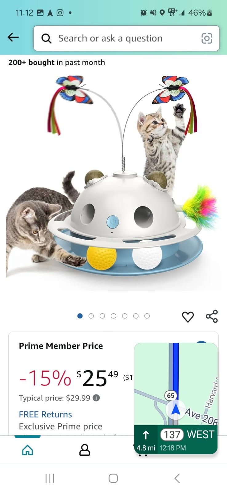 Cat Toy 🐈