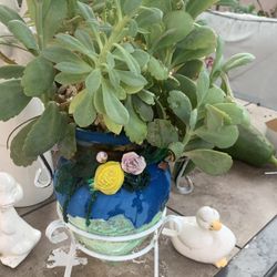 Bonita Planta En Bonita Vase De Barro Pintada A Mano