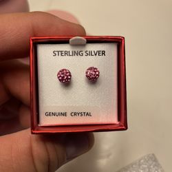 Sterling Silver Earnings