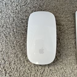 Apple Mouse 