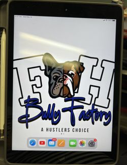 iPad