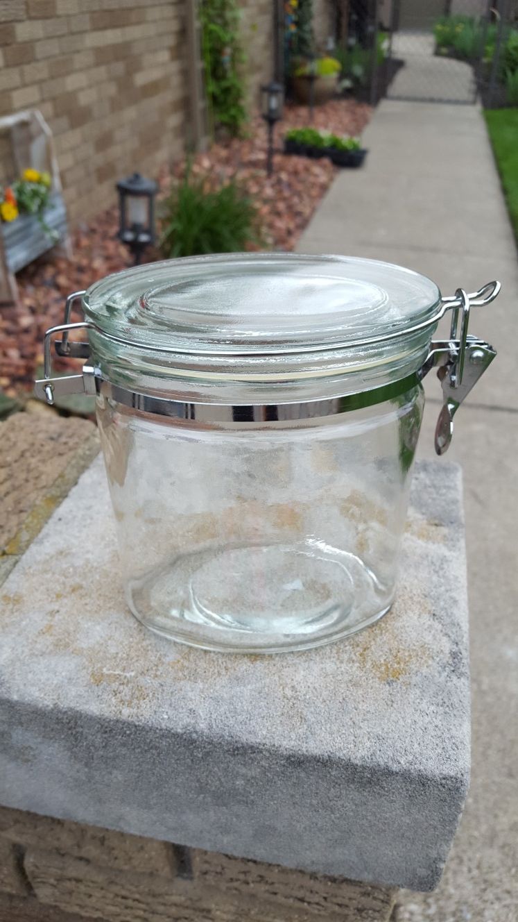 Glass lid storage container