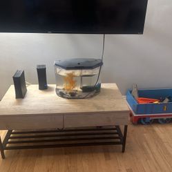 Fish Tank 